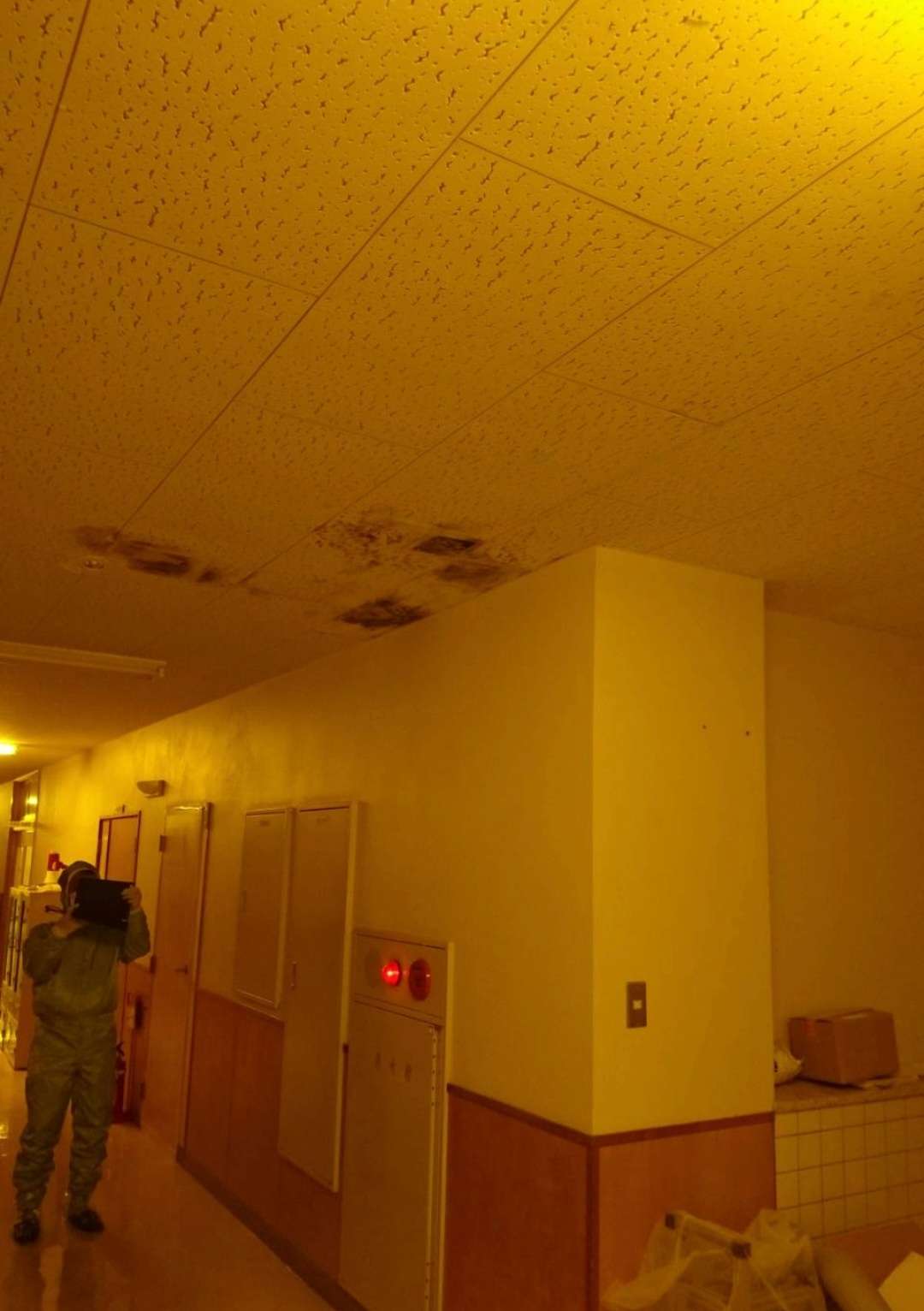 施設内の天井のカビ