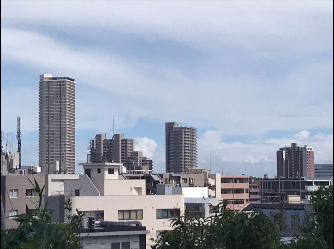 神奈川県横浜市神奈川区のカビ取り・カビ対策はカビバスターズ東京にお任せください！