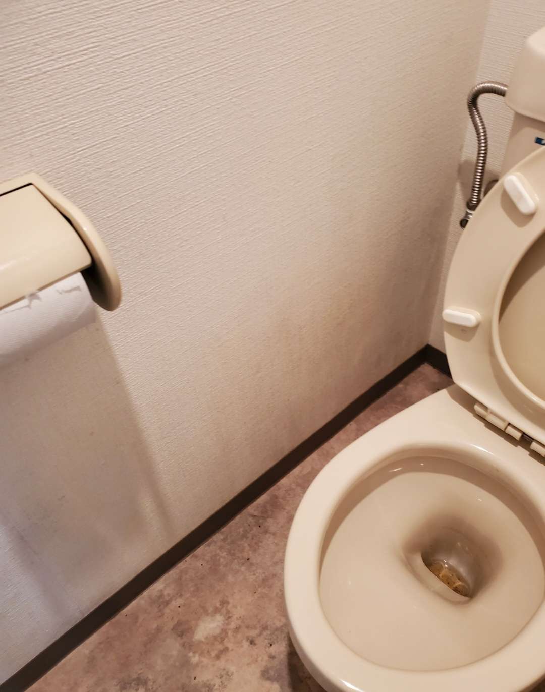 トイレのカビ問題はカビバスターズが問題解決致します！