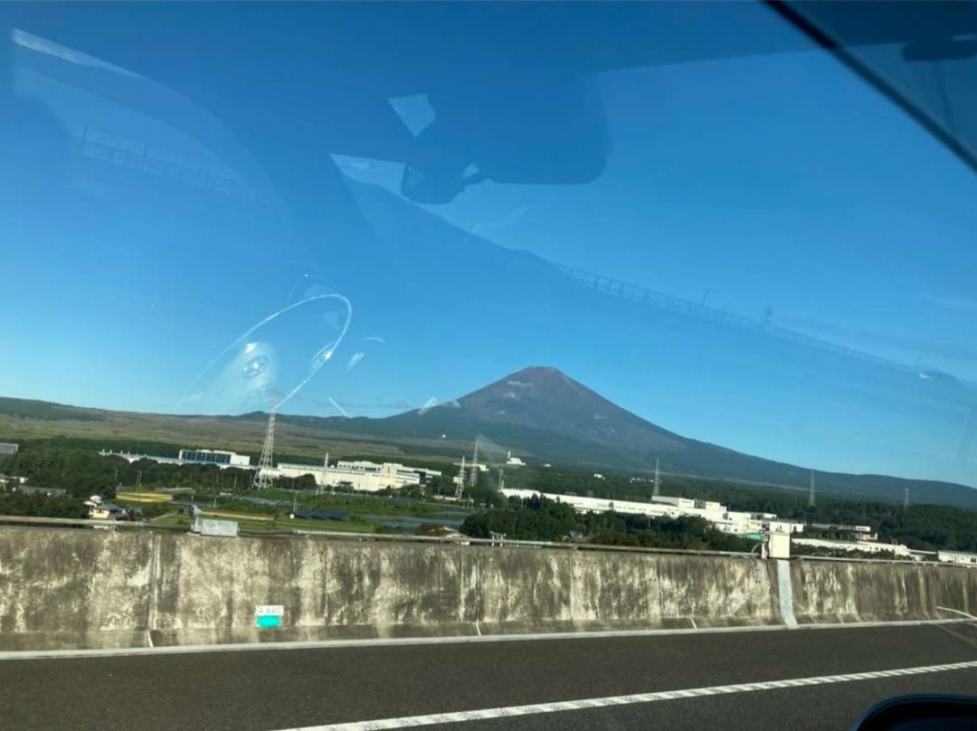 静岡県のカビ問題はカビバスターズが解決致します