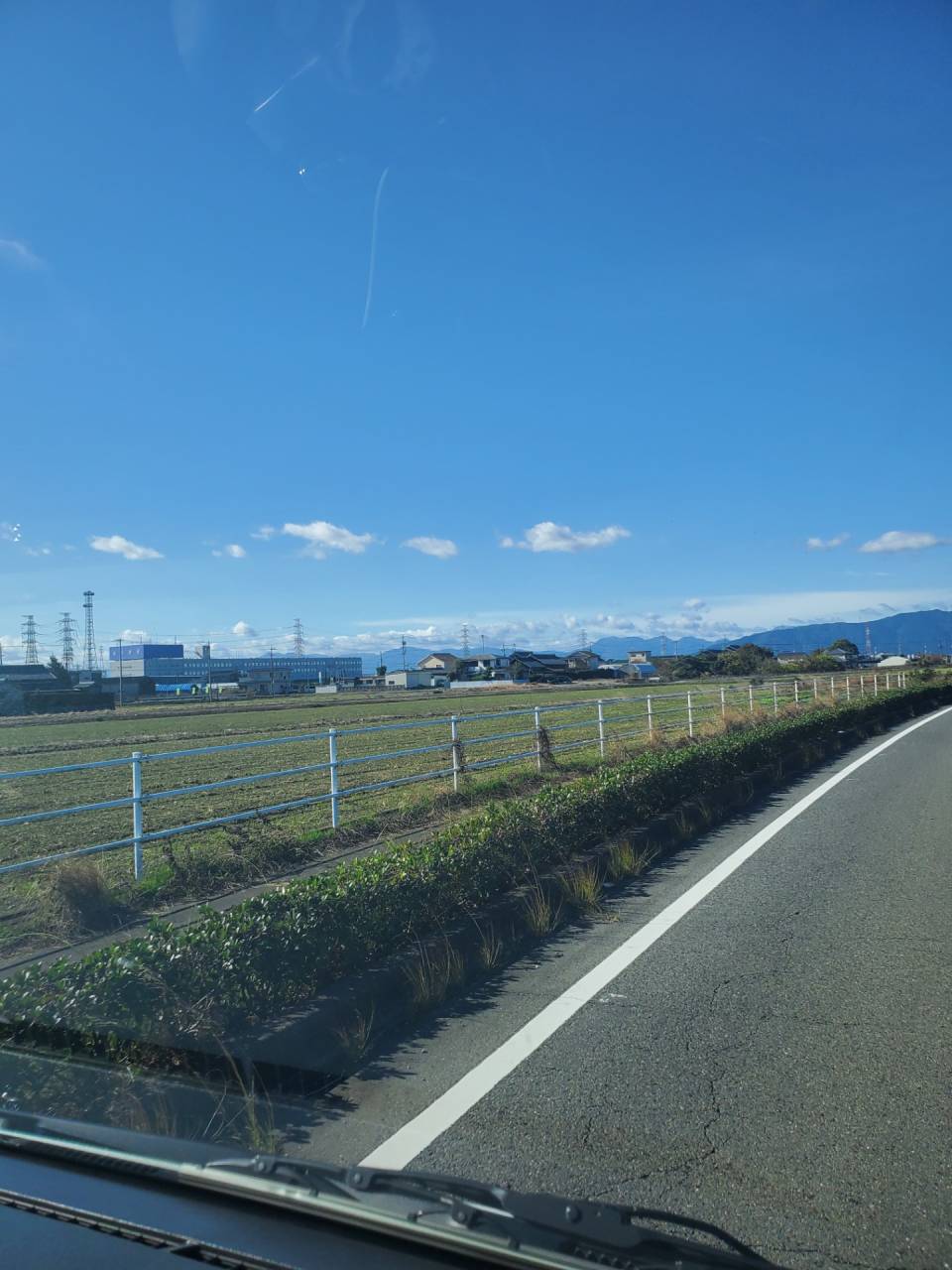 愛知県愛西市のカビ問題はカビバスターズが解決致します！