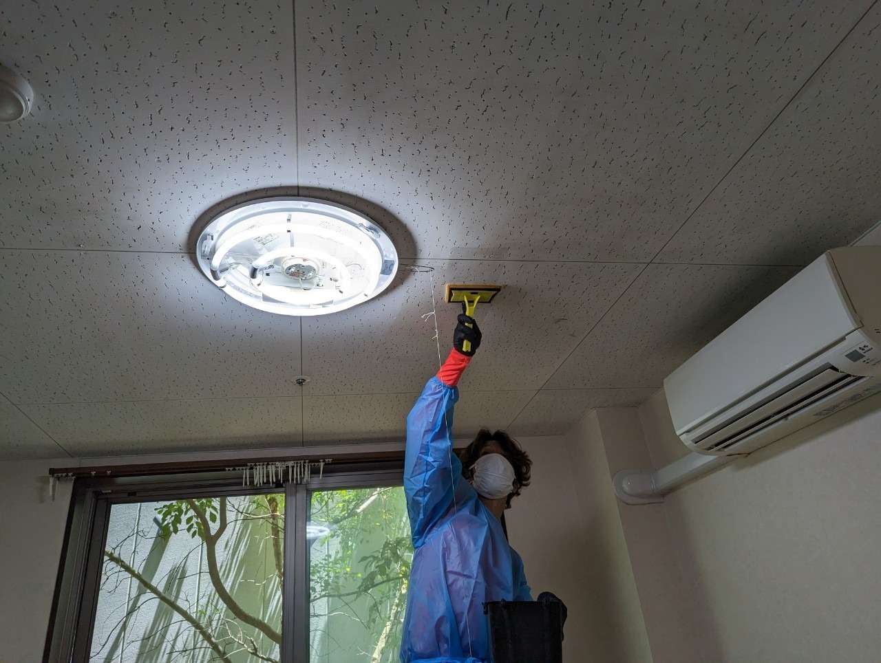 【愛知県名古屋市】老人介護施設の天井のカビ取り・カビ対策