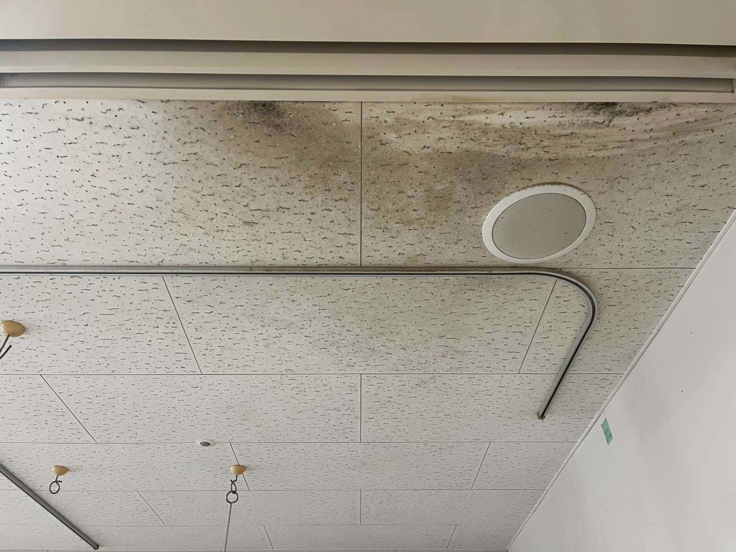 千葉県の漏水事故で発生したカビ問題｜真菌検査と含水率調査で原因を徹底解明