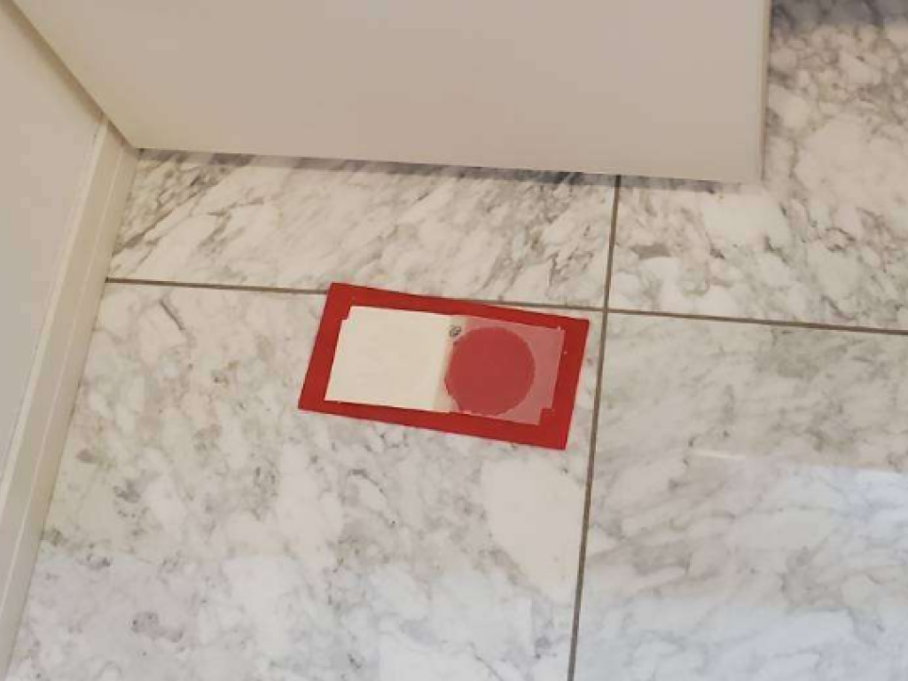 培地に落下した胞子数を検査する落下菌検査