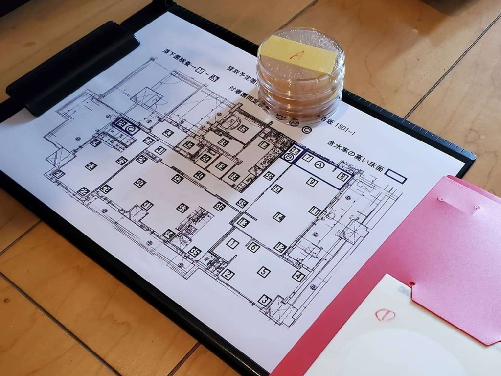 室内カビ取りのために真菌検査を実施