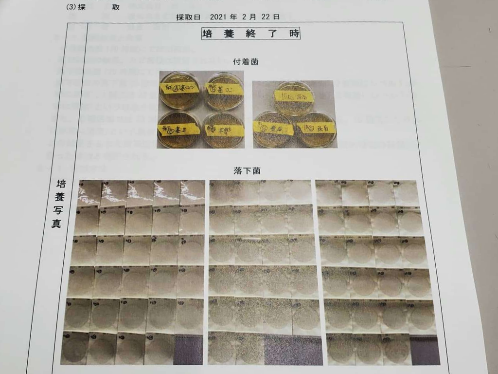 カビ菌検査の結果