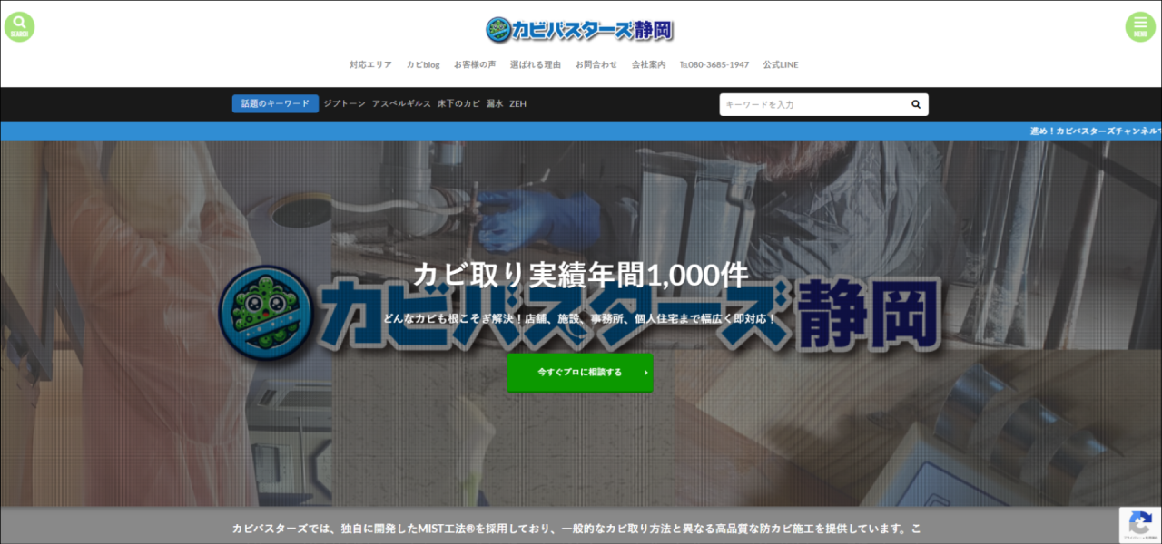 カビ取り専門店｢カビバスターズ静岡｣のURL
