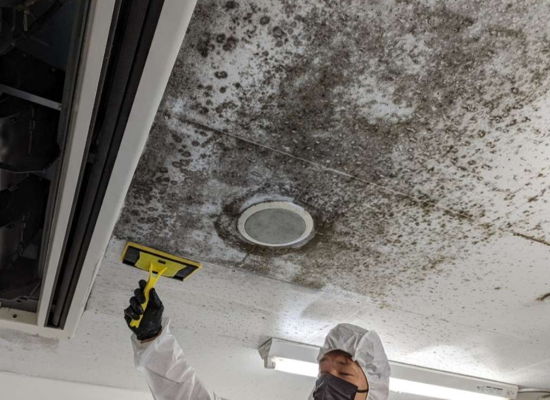 オフィス天井部のカビ取り