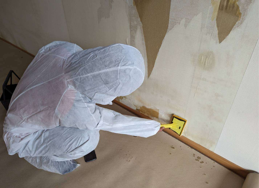 クロス内部のカビ取り