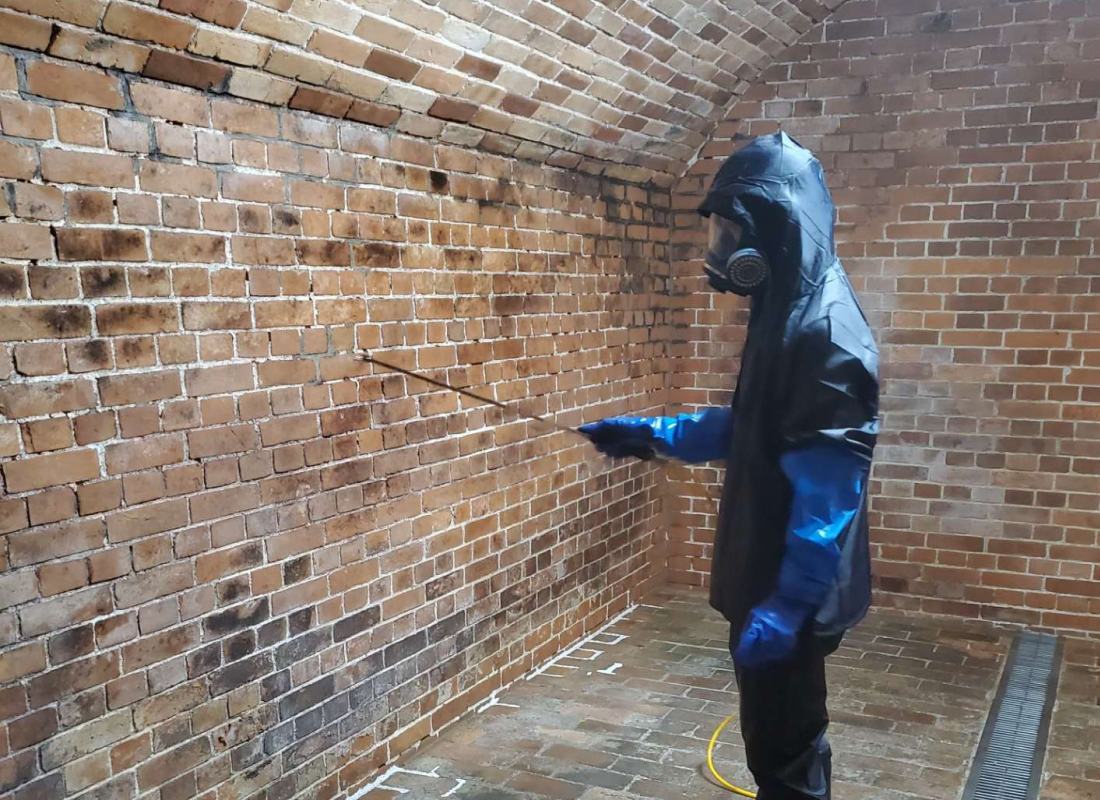 レンガ倉庫のカビ取り