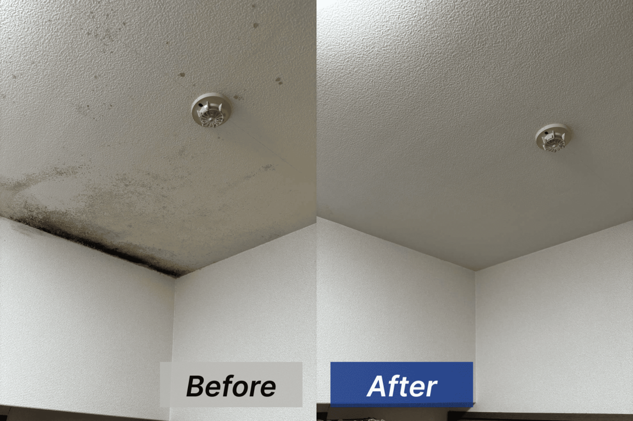 【福岡県福岡市】マンションの天井をカビ取り･カビ対策