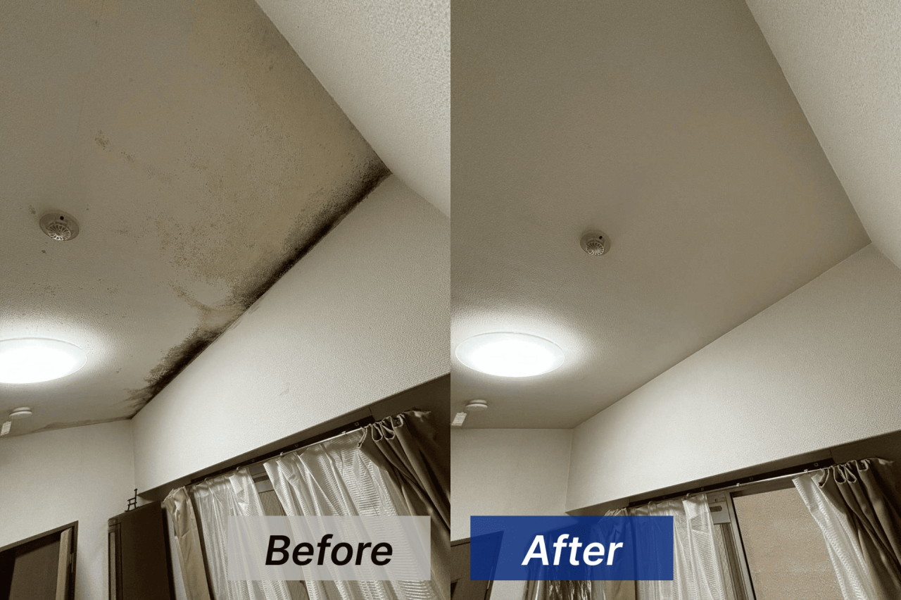 天井のカビ取り