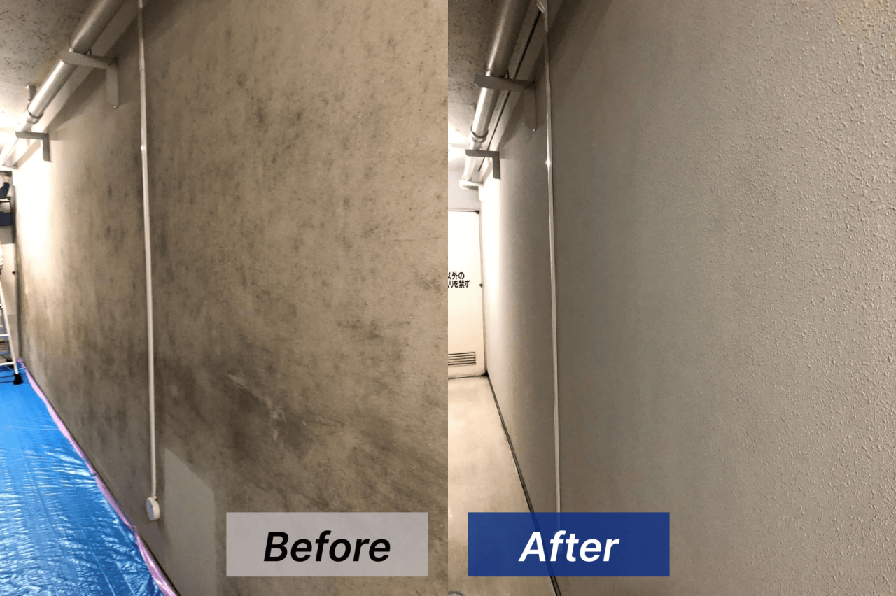 【静岡県浜松市】病院の壁をカビ取り･カビ対策