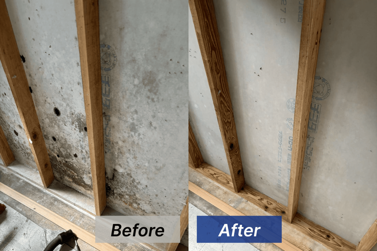 壁内のカビ取り