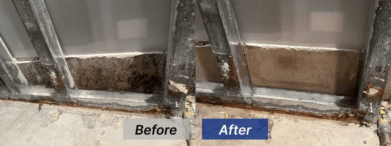 外から見た壁内のカビ取り