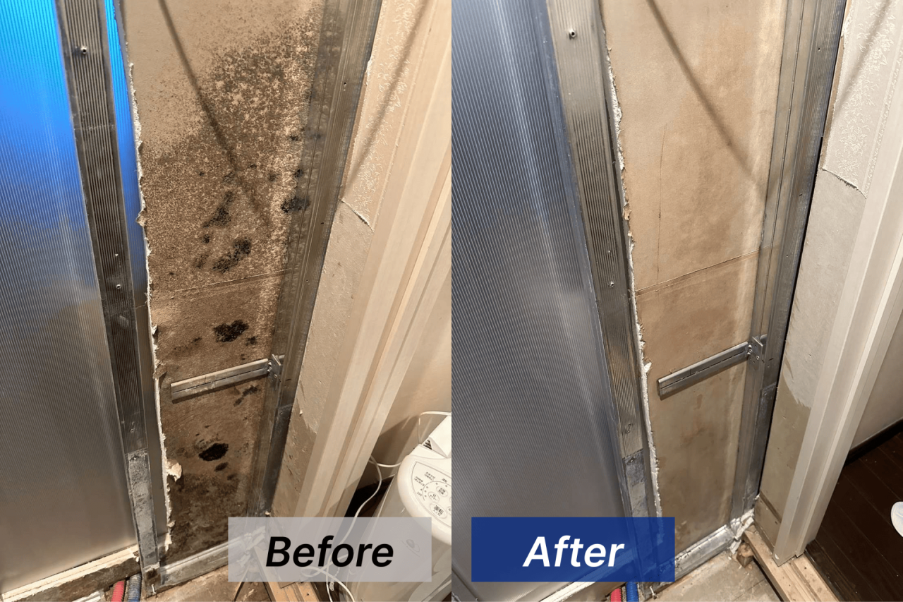 【東京都港区】マンションの壁･床下をカビ取り･カビ対策