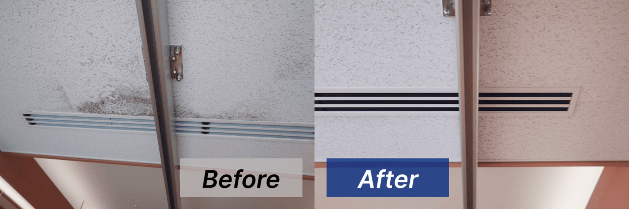 天井のカビ取り