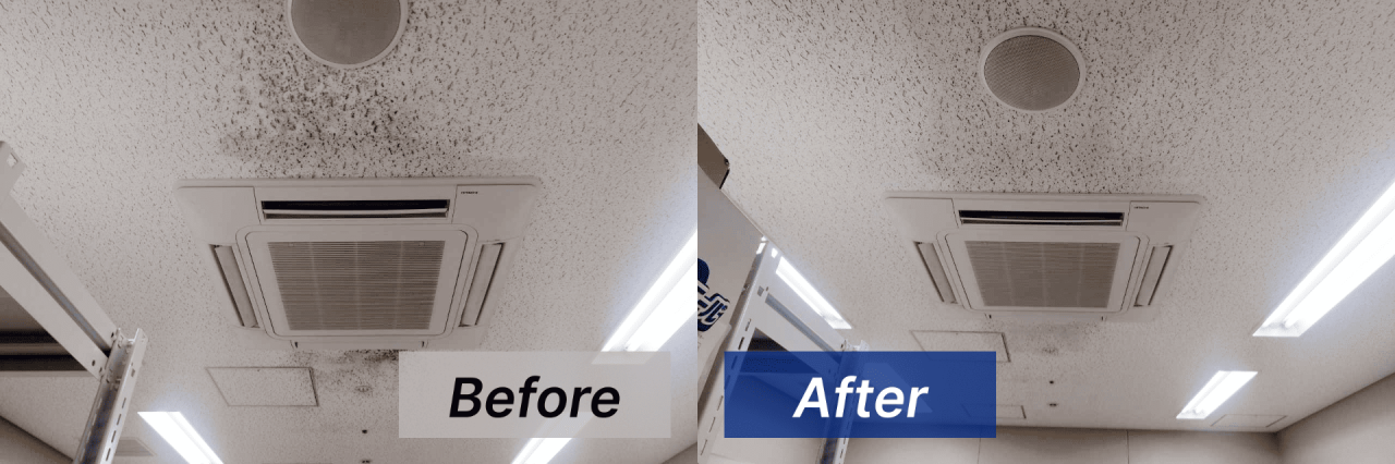 【東京都世田谷区】老人ホームの天井をカビ取り･カビ対策