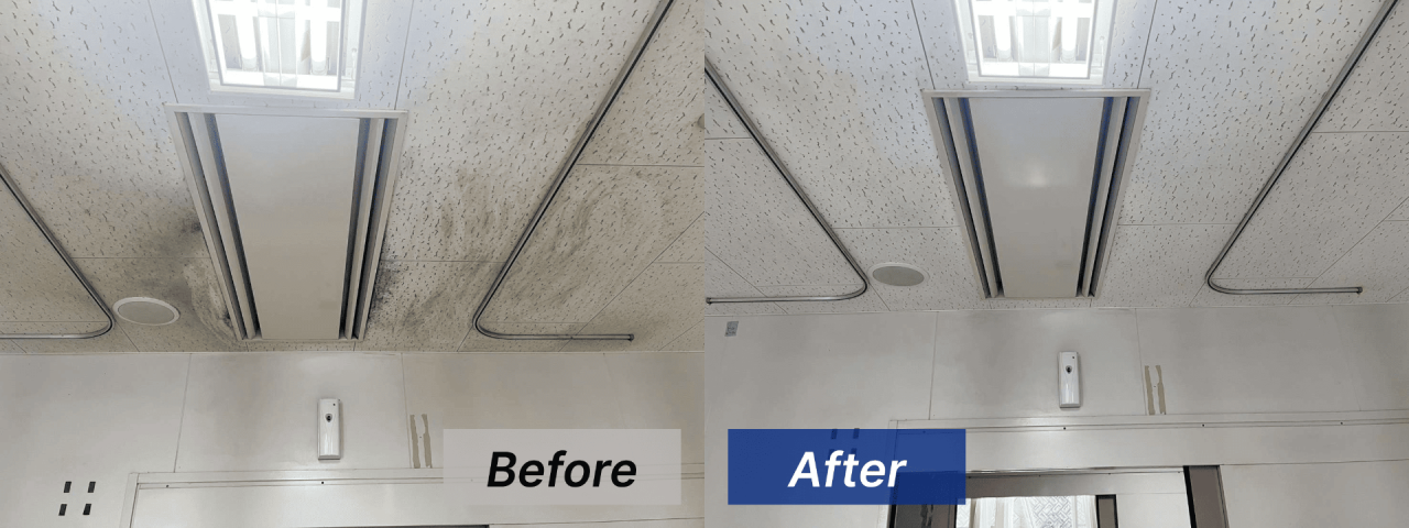 介護居室の天井のカビ取り