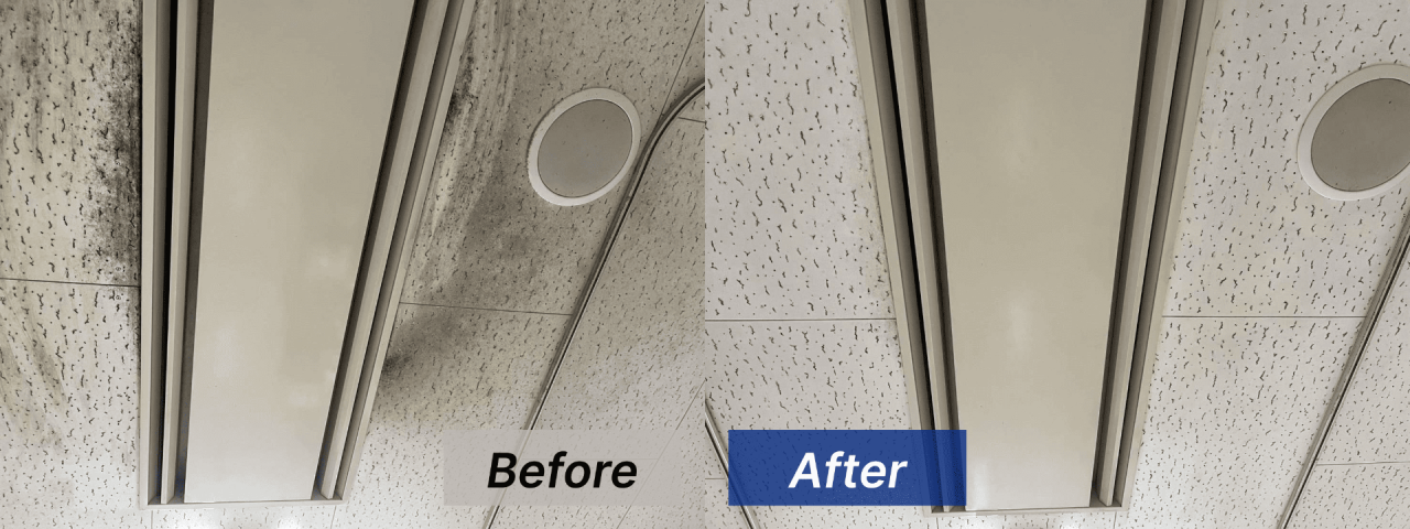 【岡山県岡山市】老人介護施設内天井のカビ取り･カビ対策