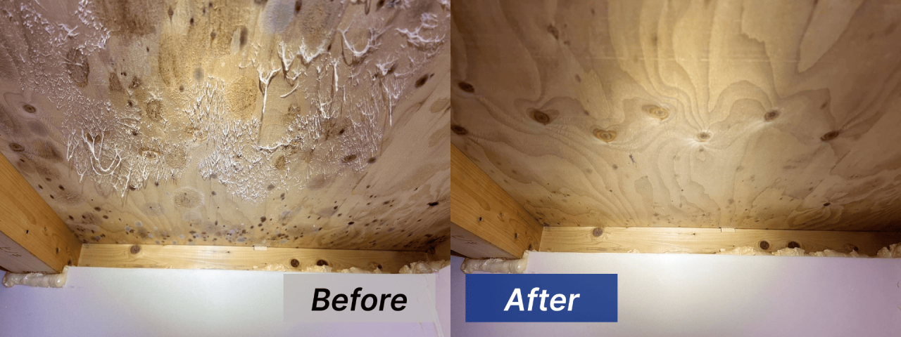 床下のカビ取り