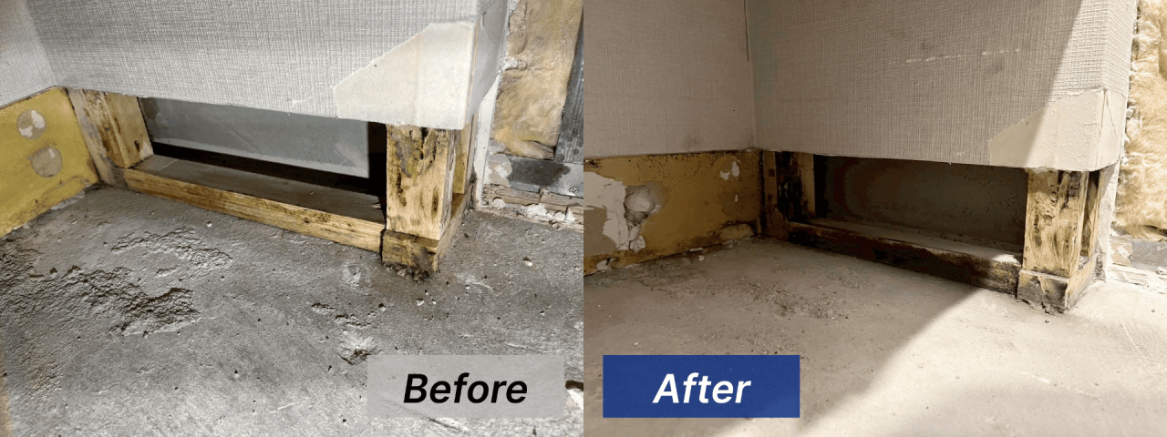 床下のカビ取り