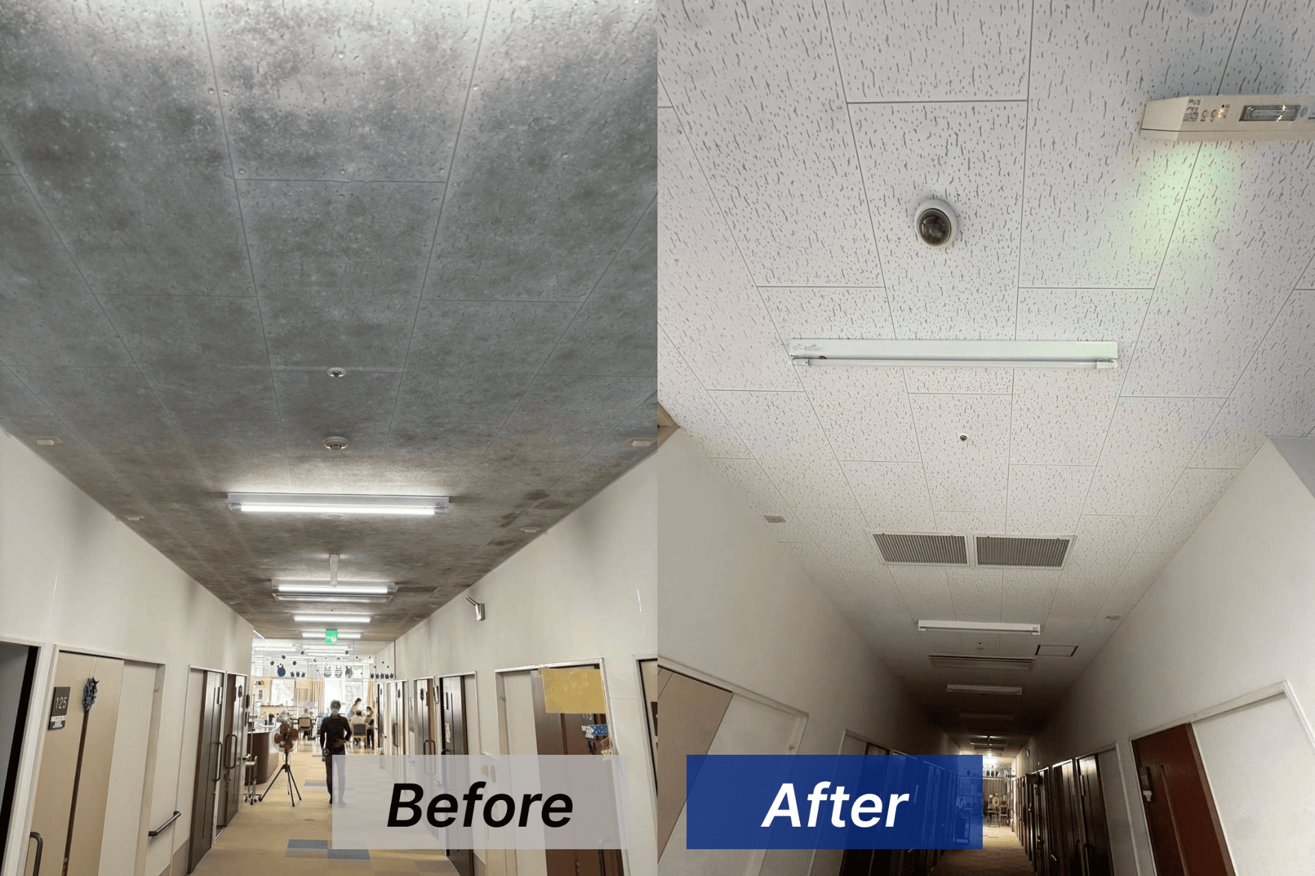 【福岡県北九州市】介護施設の天井をカビ取り･カビ対策