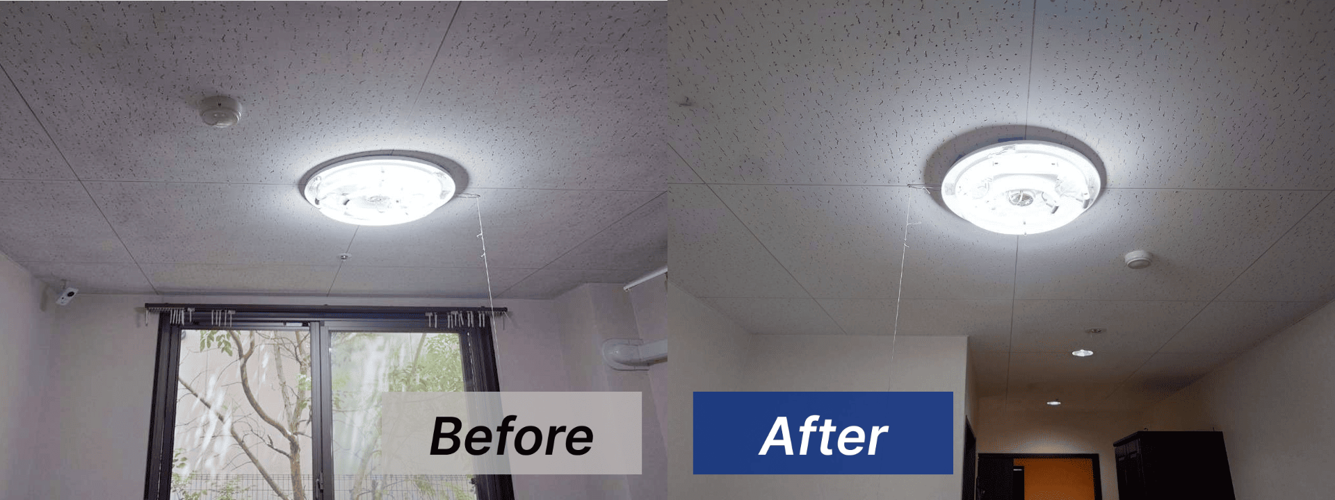 【愛知県名古屋市】老人介護施設の天井のカビ取り・カビ対策