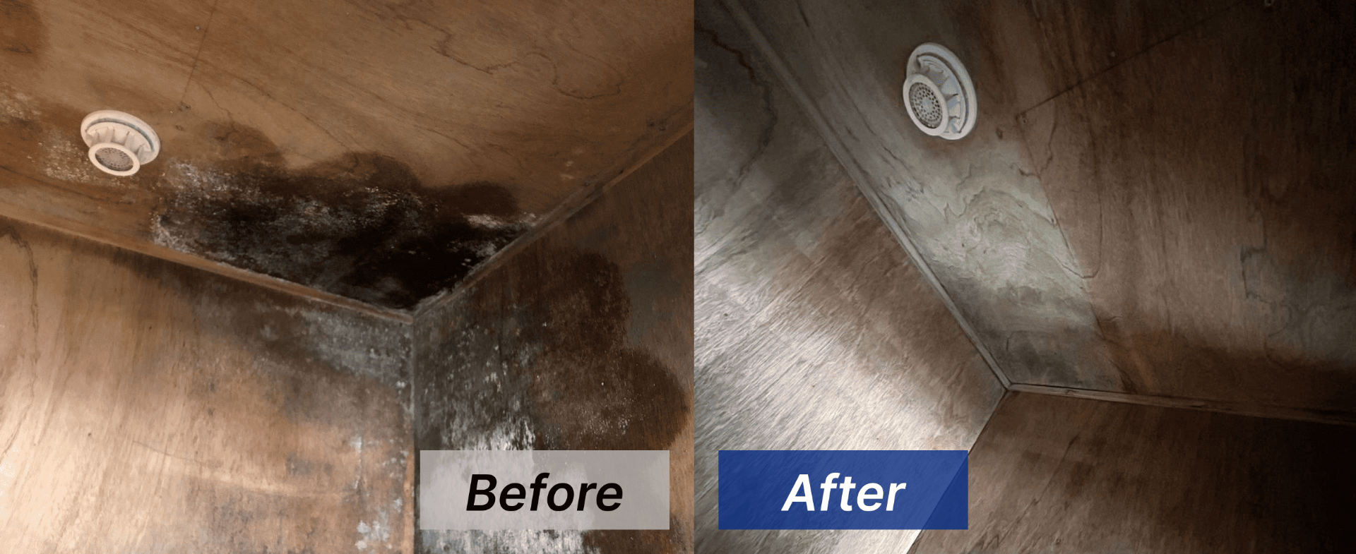 押入れ天井のカビ取り