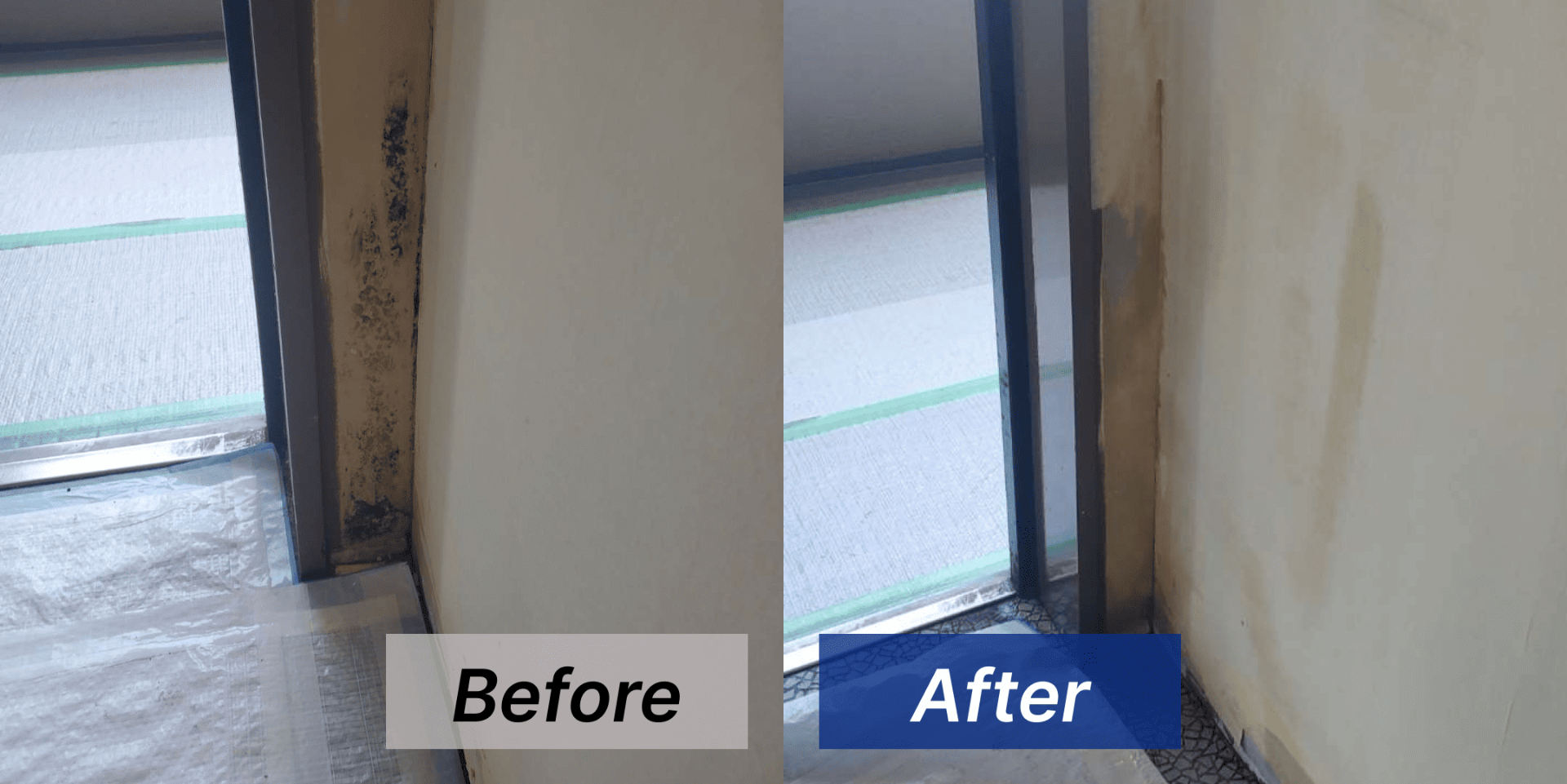 【兵庫県川西市】分譲マンションの壁をカビ取り･カビ対策