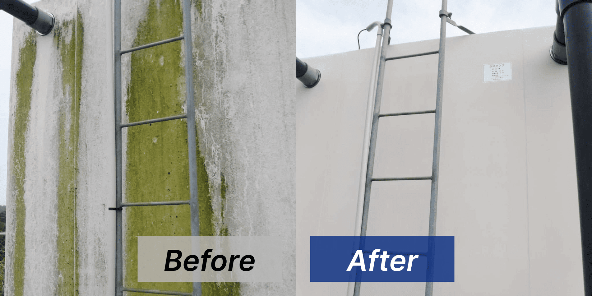 貯水タンクに登るはしご付近のカビ取り