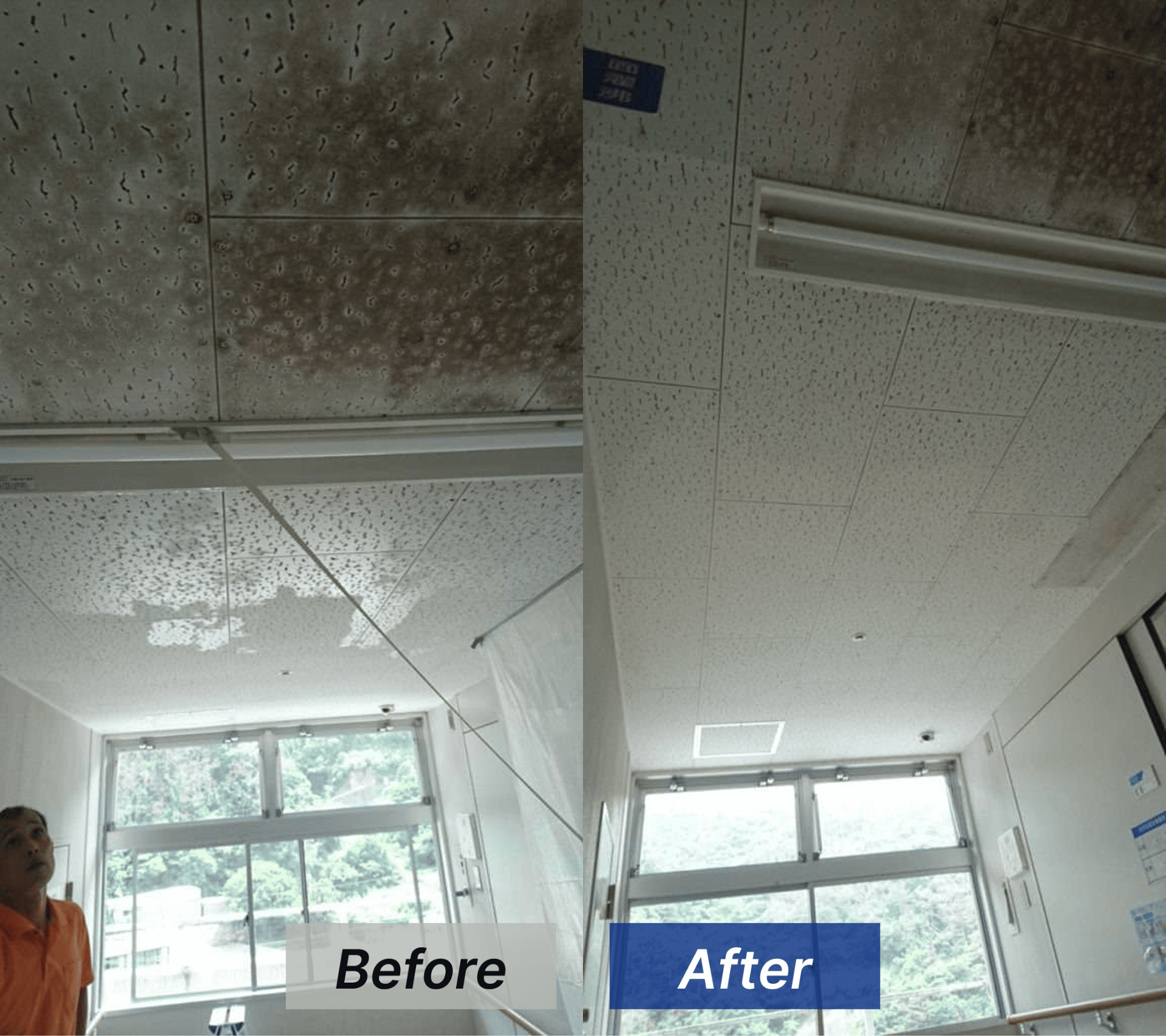 【鹿児島県奄美市】病院内の天井をカビ取り