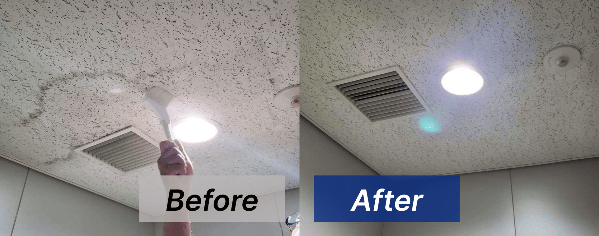 天井のカビ取り