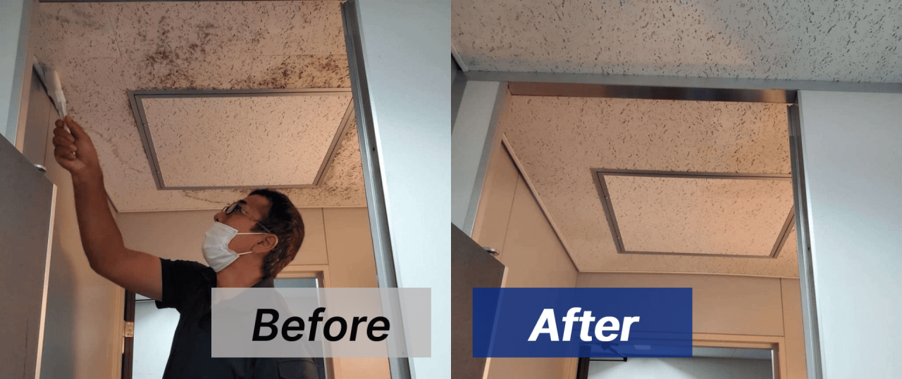 【兵庫県西宮市】オフィスの天井をカビ取り