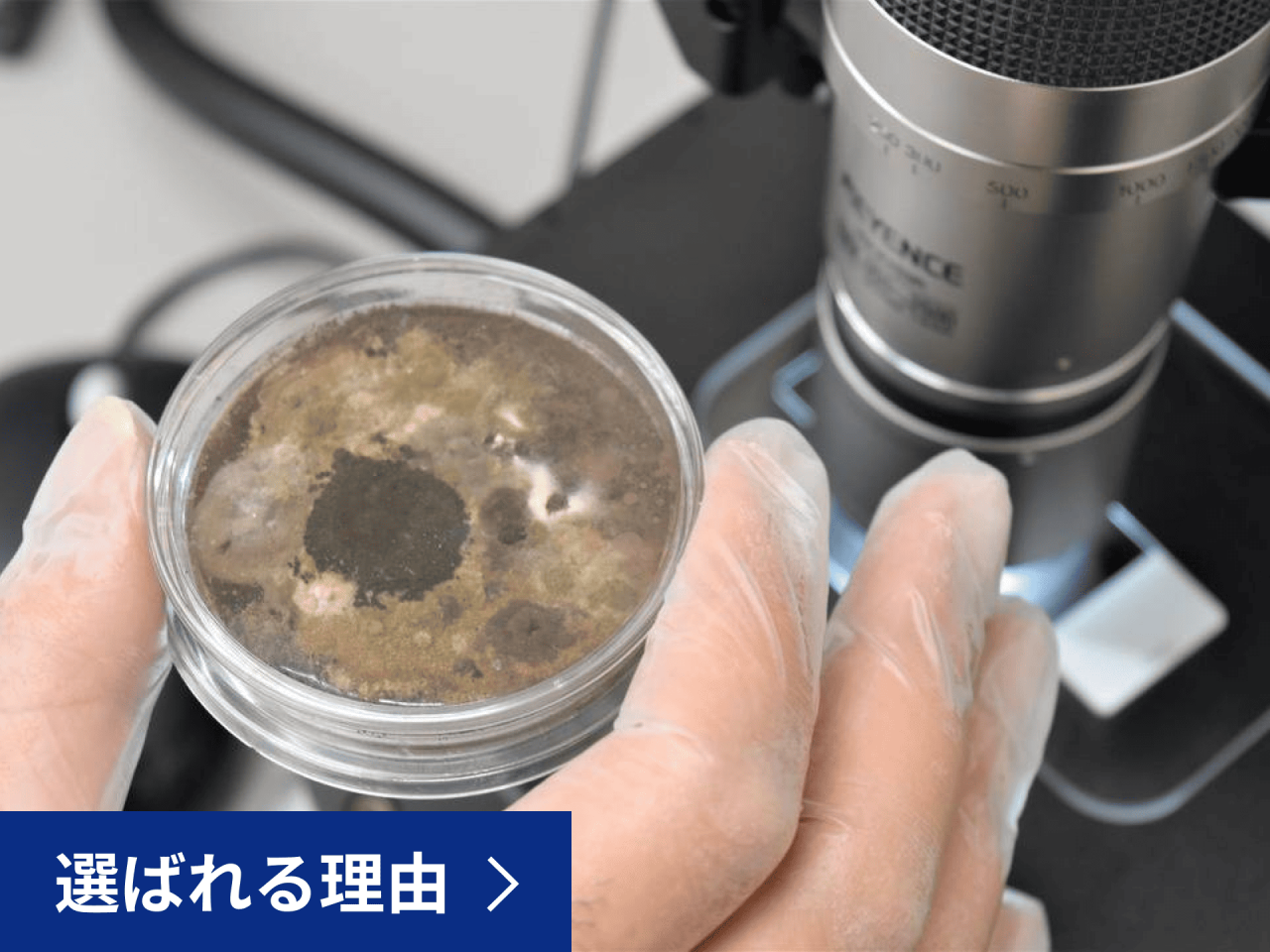 床下のカビ取りで腐食を防ぐ