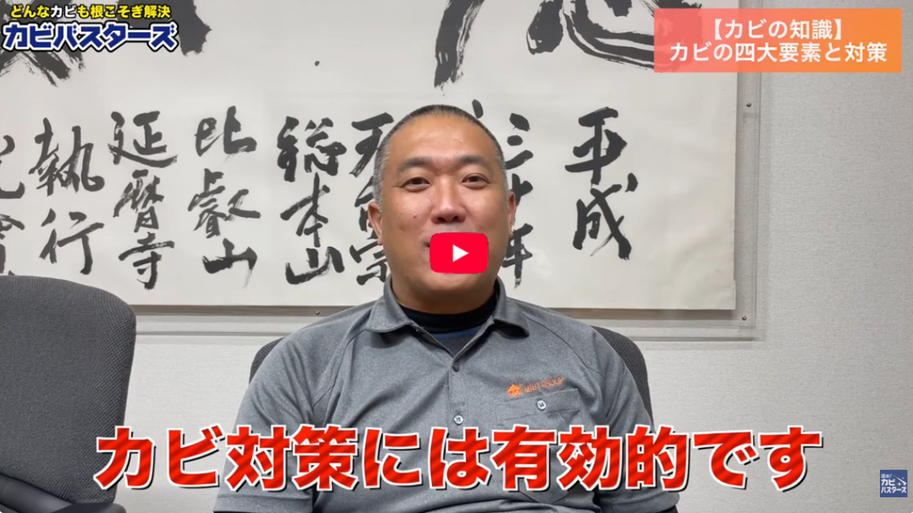 カビが発生する4つの要因