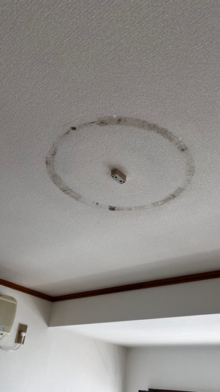 天井照明(シーリングライト)カバー内部に潜むカビの原因とは?湿気とホコリが引き起こす見えないリスクと正しい対策方法を徹底解説