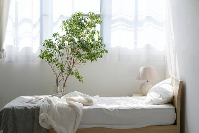 大阪府松原市で増えるカビトラブルの原因とは？見えないカビを見抜く調査と真菌検査の重要性をプロがわかりやすく解説