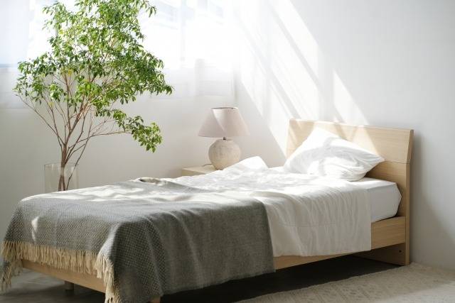 寝室でカビが発生しやすい場所と寝具種類別のカビ取り対策!