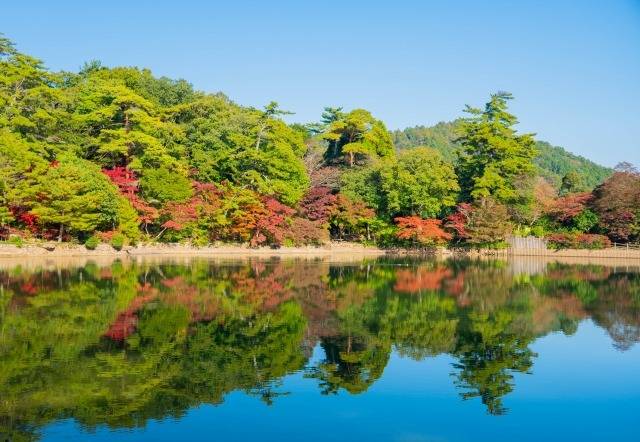 秋から始まるカビ対策！ 気温低下で室内のカビ細胞が増殖し始める時期