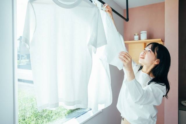 お気に入りの服にカビが…！正しい取り方と二度と発生させないための収納術
