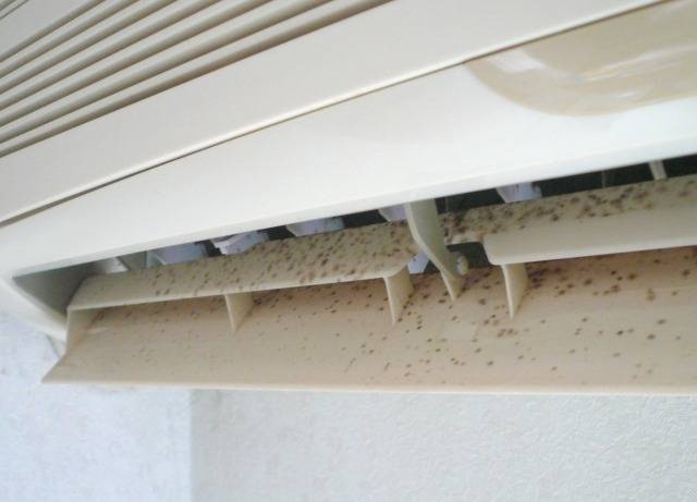 カビ臭を取る方法｜MIST工法®カビバスターズが教える安全・安心の最先端対策