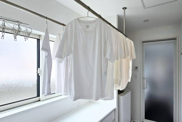 部屋干しはカビ発生の危険を高める?正しい対策とメンテナンスで快適な住まいを守ろう