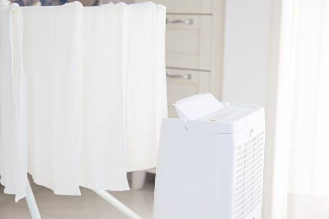 【保存版】プロが教えるカビ予防の極意|MIST工法®カビバスターズ本部