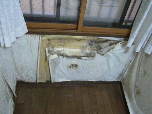 神戸市のカビトラブル完全対策ガイド|再発防止まで徹底解説!MIST工法®カビバスターズが原因から解決へ導きます