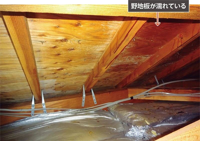 小屋裏のスタイロフォームで結露とカビが発生する原因とは？断熱材が引き起こす湿気トラブルと正しい対策をＭＩＳＴ工法®カビバスターズ本部が徹底解説