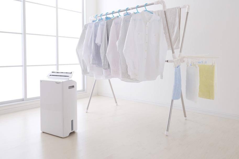 カビトラブルを起こしやすい建物の特徴ベスト5｜原因と対策を徹底解説【MIST工法®カビバスターズ】