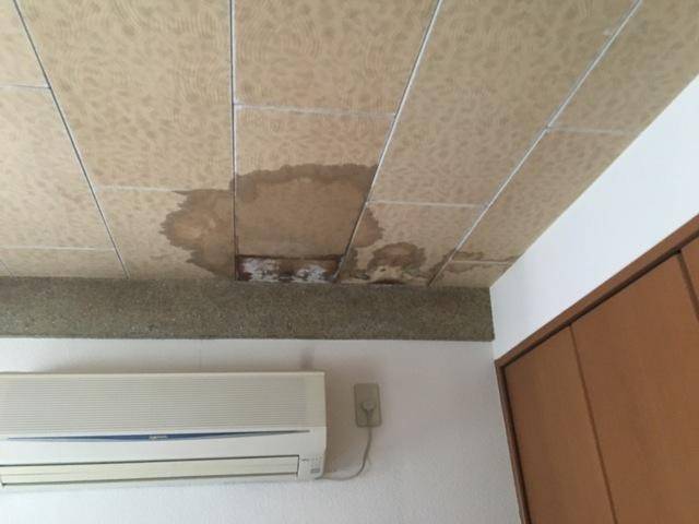 建物の漏水調査はここまで進化！非破壊調査で原因を特定しカビ再発を防ぐ完全ガイド｜MIST工法®カビバスターズ本部