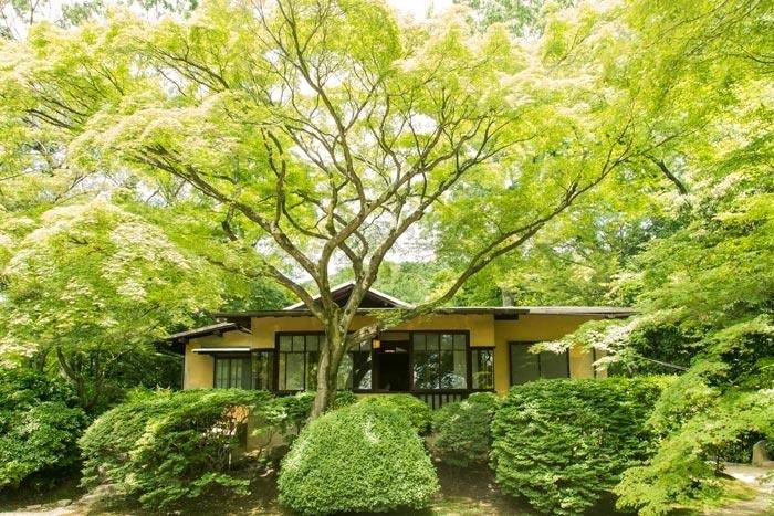 【関西のカビ問題を徹底解説】大阪のマンション結露と京都の木造住宅湿気の違い|地域特有のカビ原因と正しい対策とは?