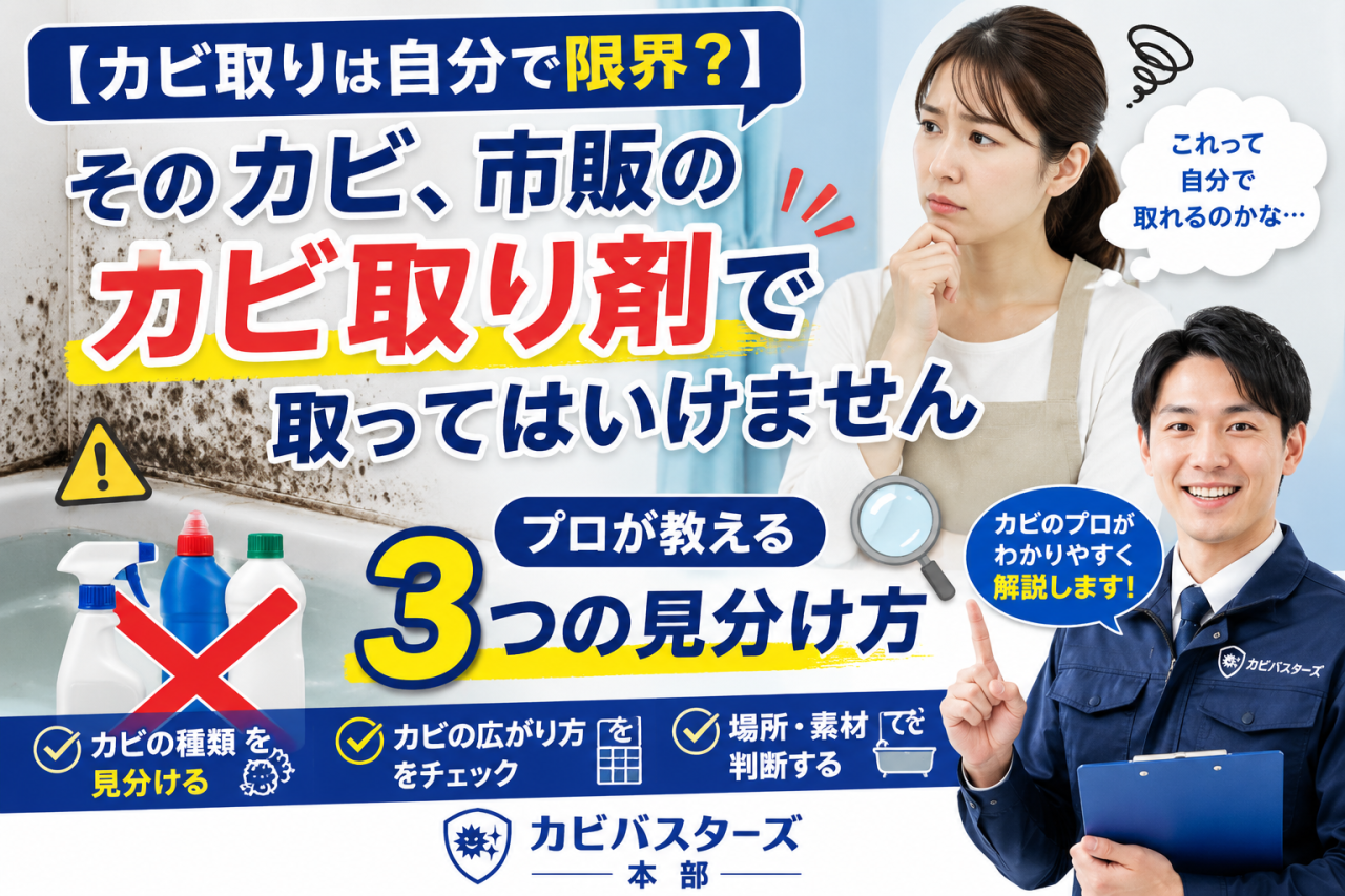 【カビ取りは自分で限界?】そのカビ、市販のカビ取り剤で取ってはいけません|プロが教える3つの見分け方
